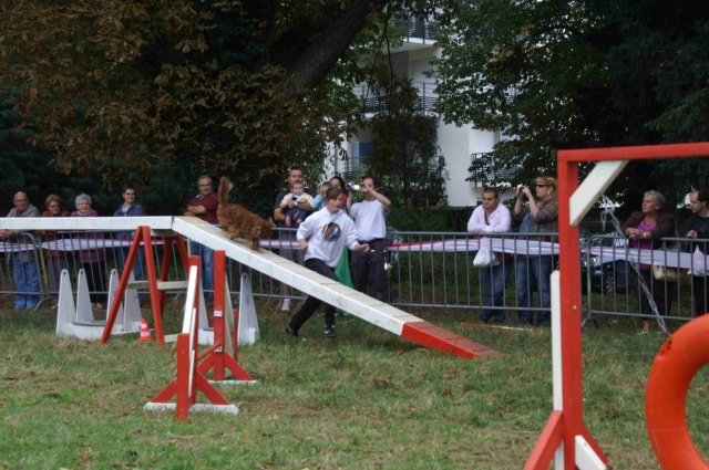 foire-haricots 2011-09-17et18